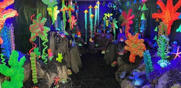 Ferslev Skole sætter fokus på havet i 2050 under Aalborg Regatta